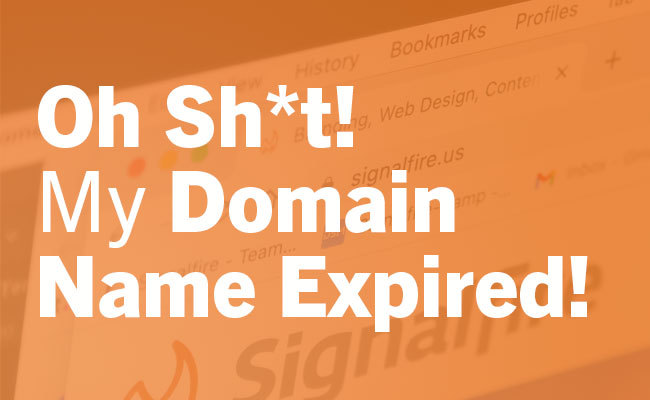 what to do when your domain name expires