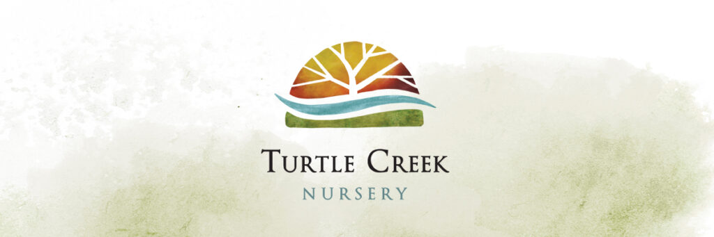 Turtle Creek Nursery logo