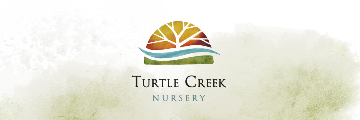 Turtle Creek Nursery Logo